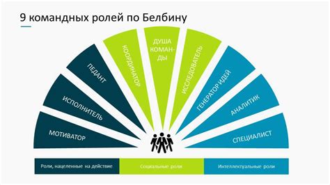 Какие роли выполняет директор в организации?