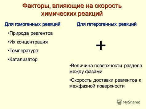 Какие факторы, помимо сорта, влияют на скорость засушивания яблок?