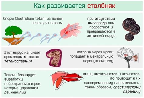 Каким образом возможно заразиться столбняком?