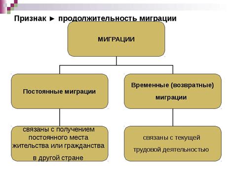 Какова продолжительность миграции стрижей