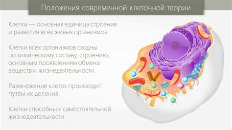 Какова роль клеточного строения в жизнедеятельности организмов?