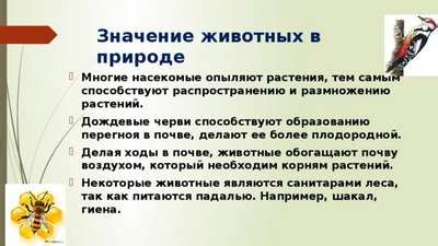 Каково значение интервала и почему его нужно правильно устанавливать