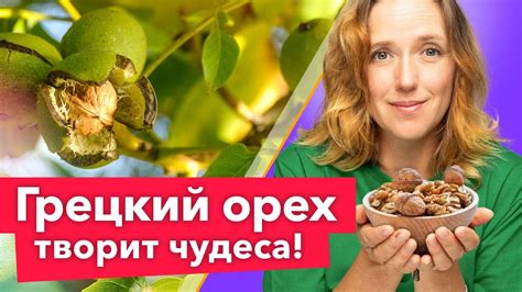 Каковы условия для успешного выращивания грецкого ореха в Алтайском крае?