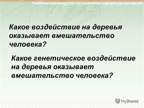 Какое воздействие оказывает белильная смесь на деревья?