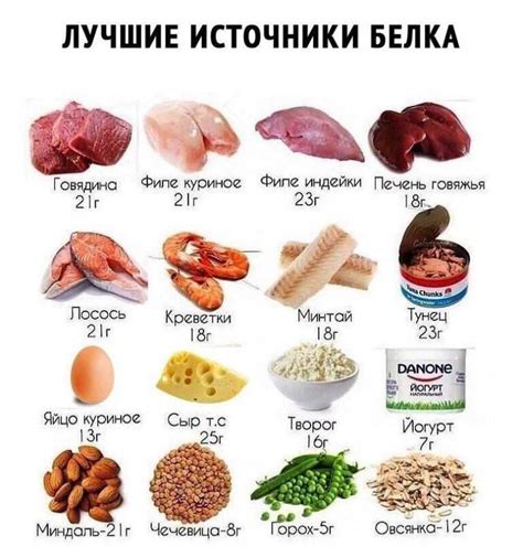 Какой белок содержится в йогурте?