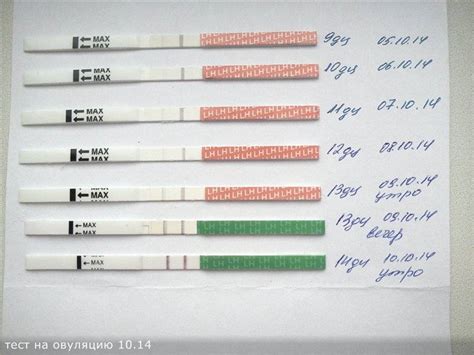 Какой результат покажет тест через три недели после зачатия?