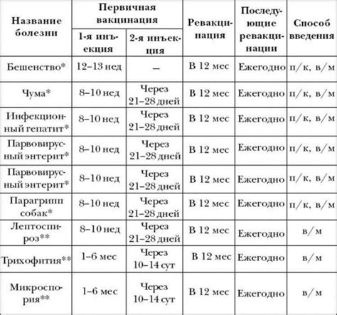 Какой сезон считается наиболее оптимальным для прививки собак?