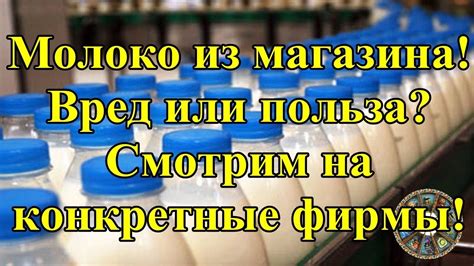 Какую пользу или вред может принести крысе молоко из магазина?