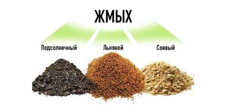 Какую пользу можем получить от жмыха подсолнечного