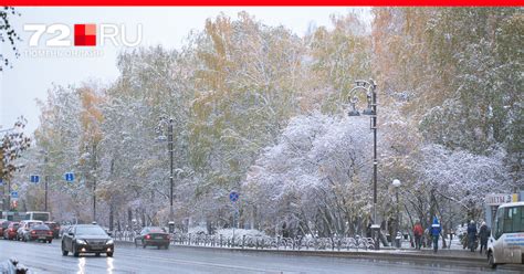 Как актуально: заморозки в ближайшие дни в Тюмени