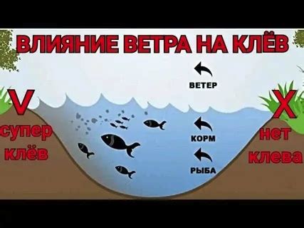 Как ветер влияет на поведение рыбы