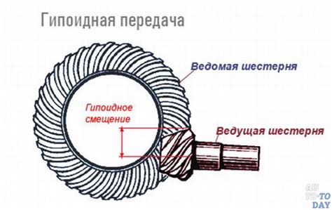 Как возникает передача гиардии