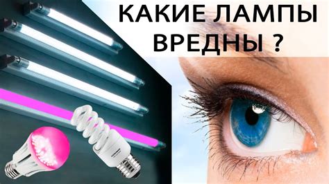 Как выбрать и использовать ультрафиолетовую лампу?