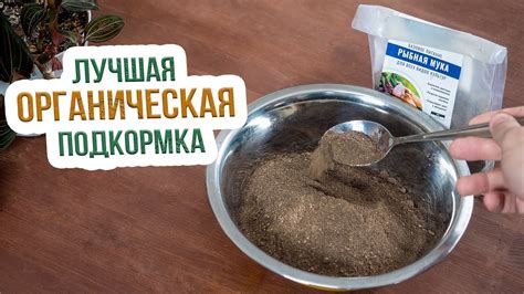 Как выбрать костную муку для щенка?