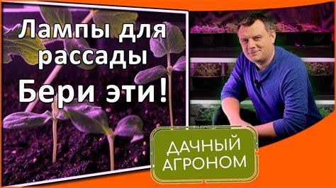 Как выбрать правильное место для выращивания салата