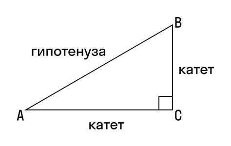 Как вычислить катет с помощью синуса