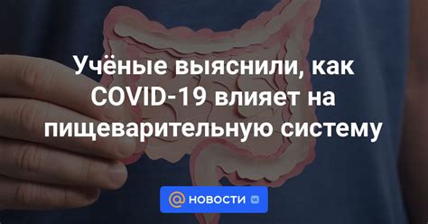 Как геркулес воздействует на пищеварительную систему?