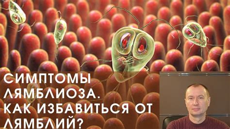 Как защититься от лямблиоза в школьной среде