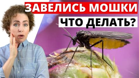 Как избавиться от мошки в ухе?