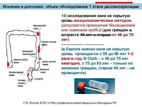 Как измерить белки через анализ кала