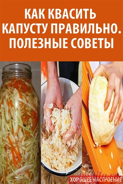 Как квасить капусту с огурцами: лучшие рецепты и советы