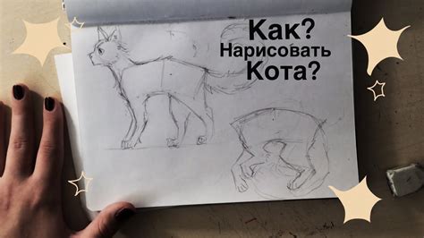 Как нарисовать хвост кота-воителя