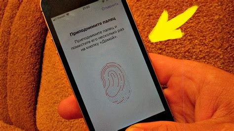 Как настроить отпечаток пальца на iPhone