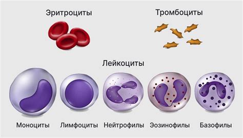 Как обнаружить снюс в крови: основные методы анализа