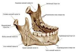 Как определить, что челюсть выбита?