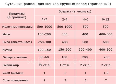 Как определить время кормления собаки вечером?