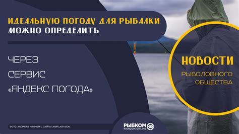 Как определить идеальную погоду для ношения дубленки