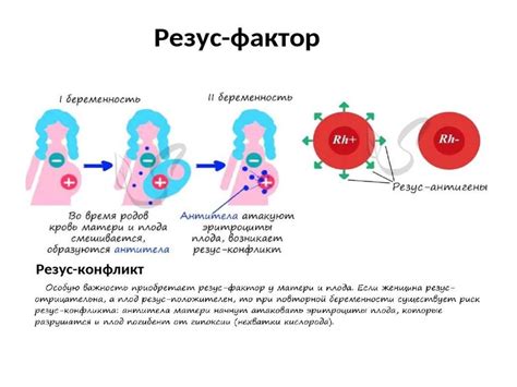 Как определить изменение резус-фактора и его влияние на организм