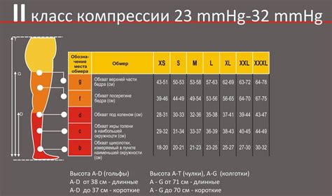 Как определить точные цифры для правильного подбора размера чулок