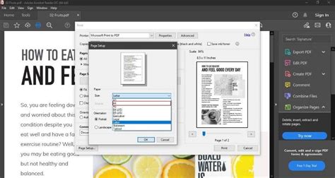 Как определить dpi в Adobe Acrobat