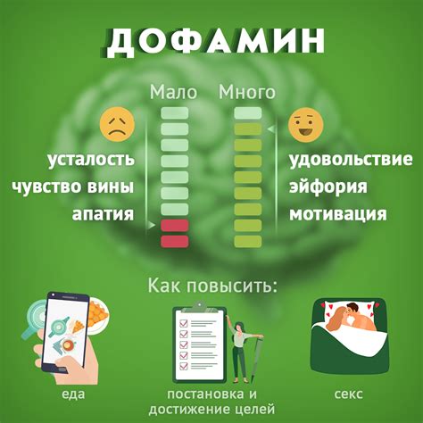 Как отдыхать, чтобы уровень дофамина оставался в норме