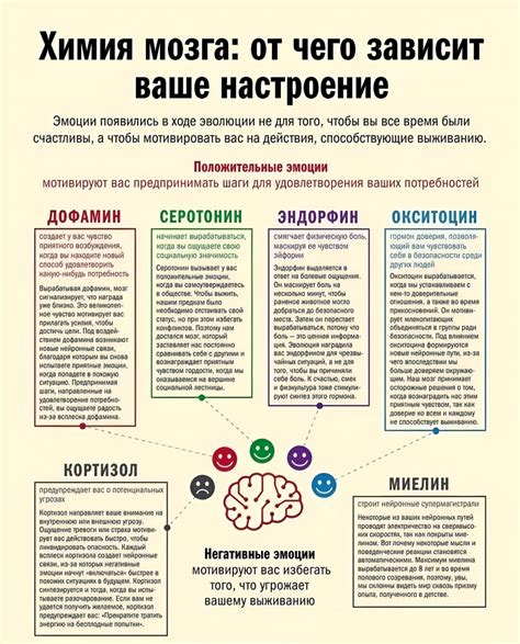 Как повысить уровень дофамина: эффективные методы снижения