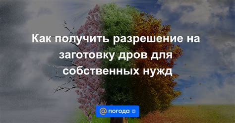 Как получить разрешение на продажу дров через ЕГАИС?