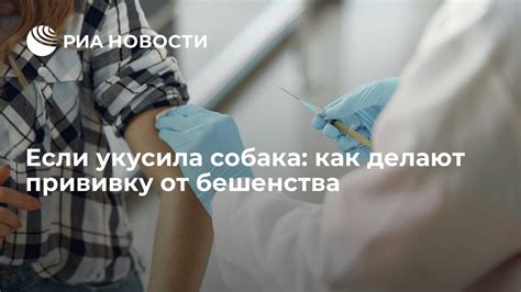 Как получить сыворотку от бешенства