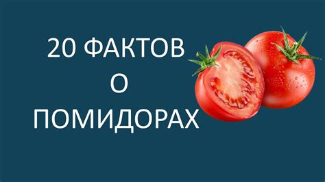 Как помидоры могут влиять на состояние гепатоза