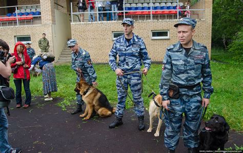 Как поступить на кинолога