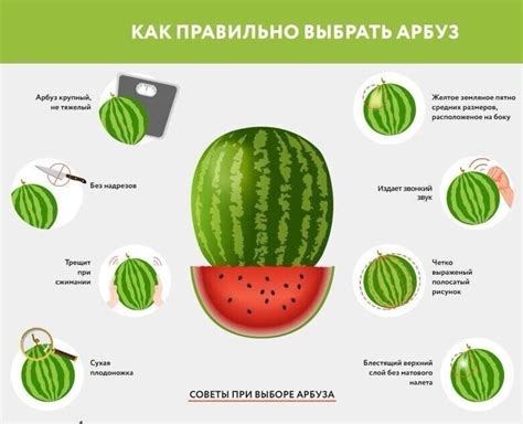 Как правильно выбрать арбуз