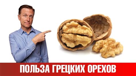 Как правильно давать грецкий орех собаке?