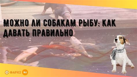 Как правильно давать собакам рыбу?