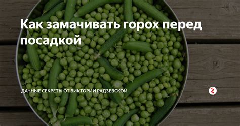 Как правильно замачивать горох