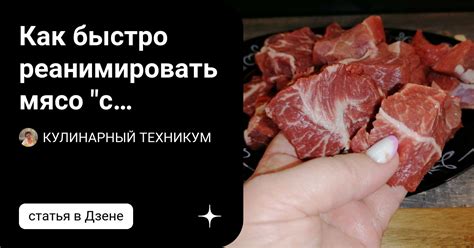 Как правильно приготовить мясо с душком для собаки