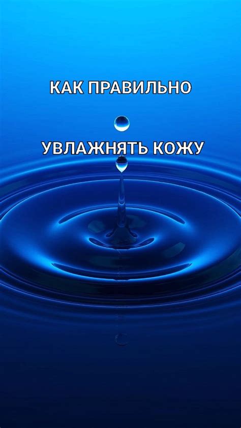 Как правильно увлажнять стену?