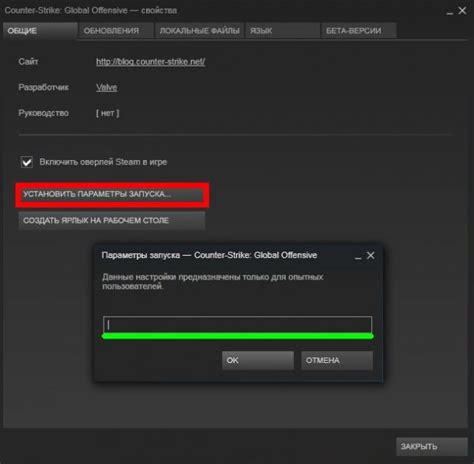 Как правильно установить параметры запуска в CS GO