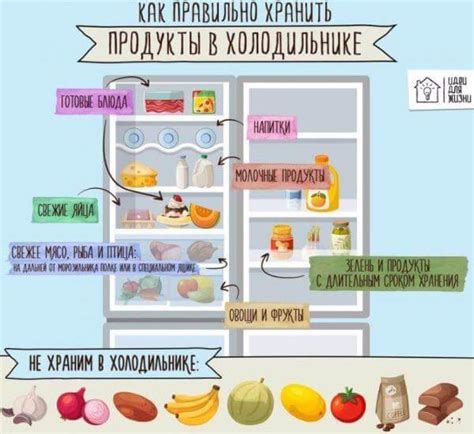 Как правильно хранить креатин: в холодильнике или при комнатной температуре?