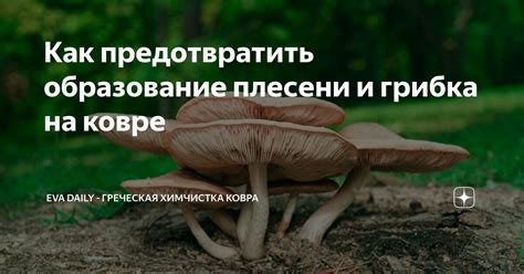 Как предотвратить образование плесени на ковре