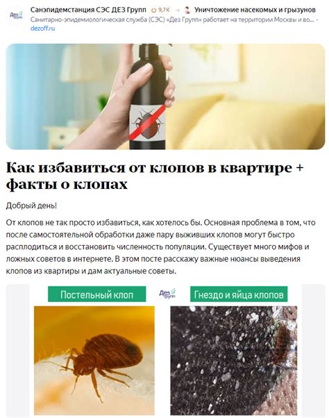 Как предотвратить укусы клопов